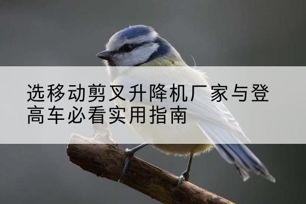 昭平电动升降机厂家-选移动剪叉升降机厂家与登高车必看实用指南