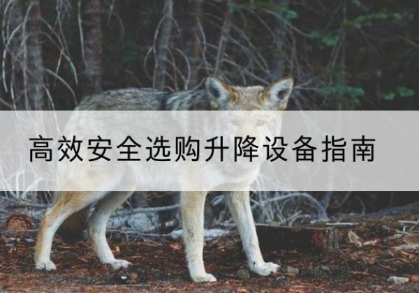 昭平升降货梯厂家推荐-*安全选购升降设备指南