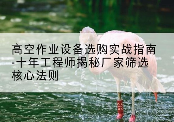 昭平剪叉式升降机厂家-高空作业设备选购实战指南-十年工程师揭秘厂家筛选核心法则